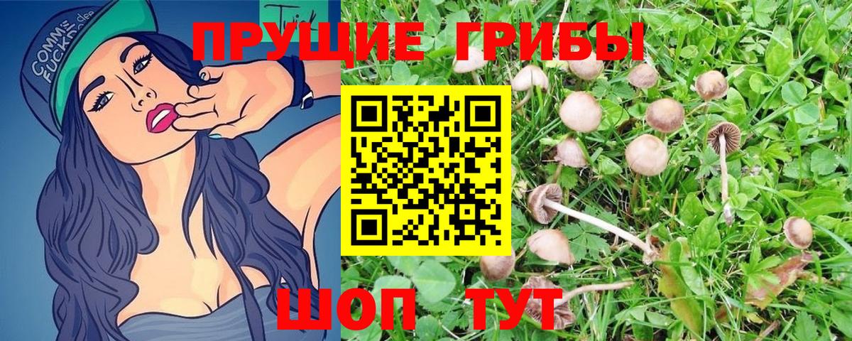 Галлюциногенные грибы Magic Shrooms  Вход с VPN  Нальчик 